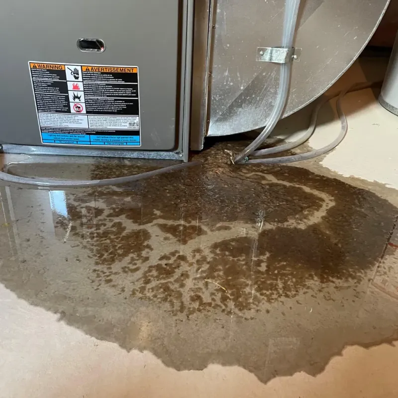 Appliance Leak Cleanup in Greeley County, KS